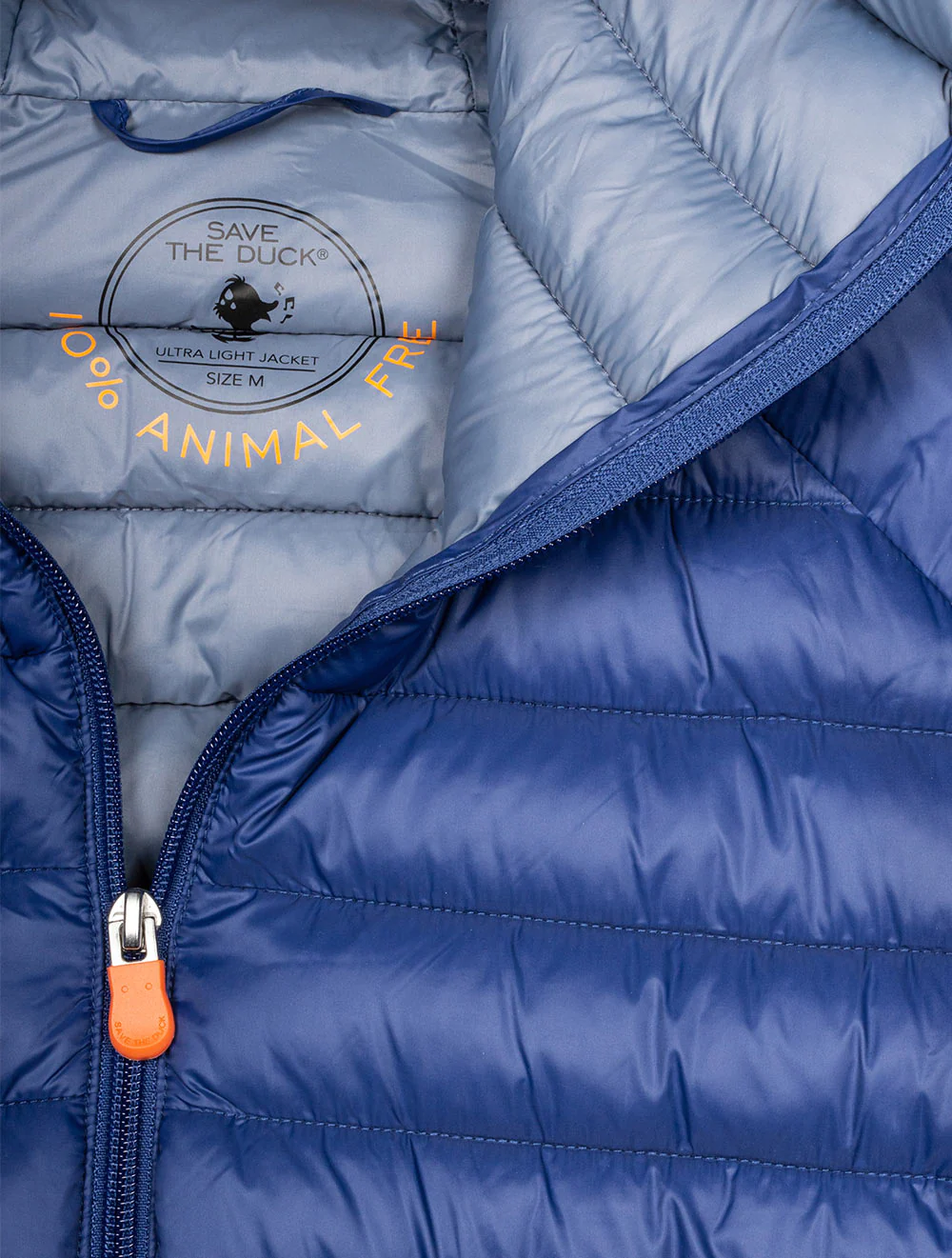 DONALD ECLIPSE BLUE 2