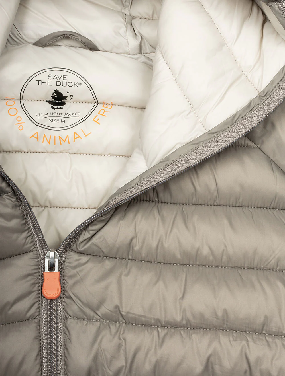 DONALD ELEPHANT GREY 2